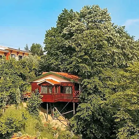 The Canyon & Hotel