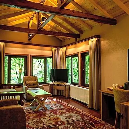 The Canyon & Hotel 5*