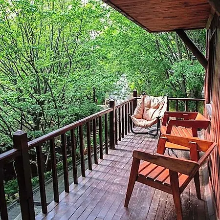 The Canyon & Hotel 5*