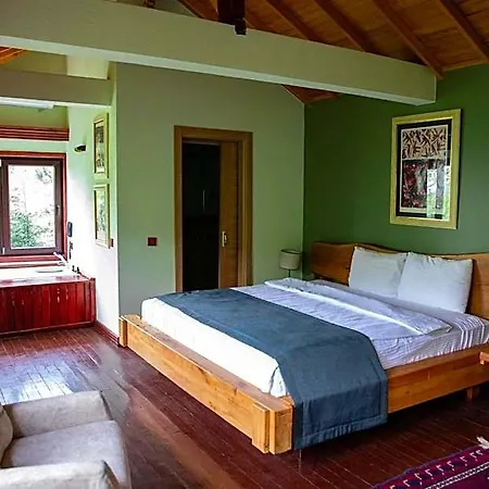 The Canyon & 5* Himmetli